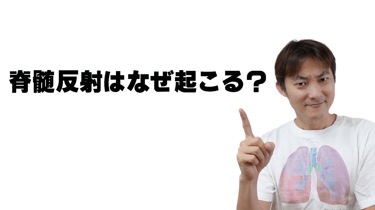 脊髄反射の病態生理：反射（Part.1）