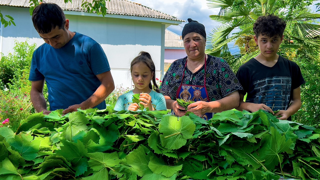 The Ultimate Grape Leaf DOLMA Recipe! 🍇 Cooking on a Handmade 