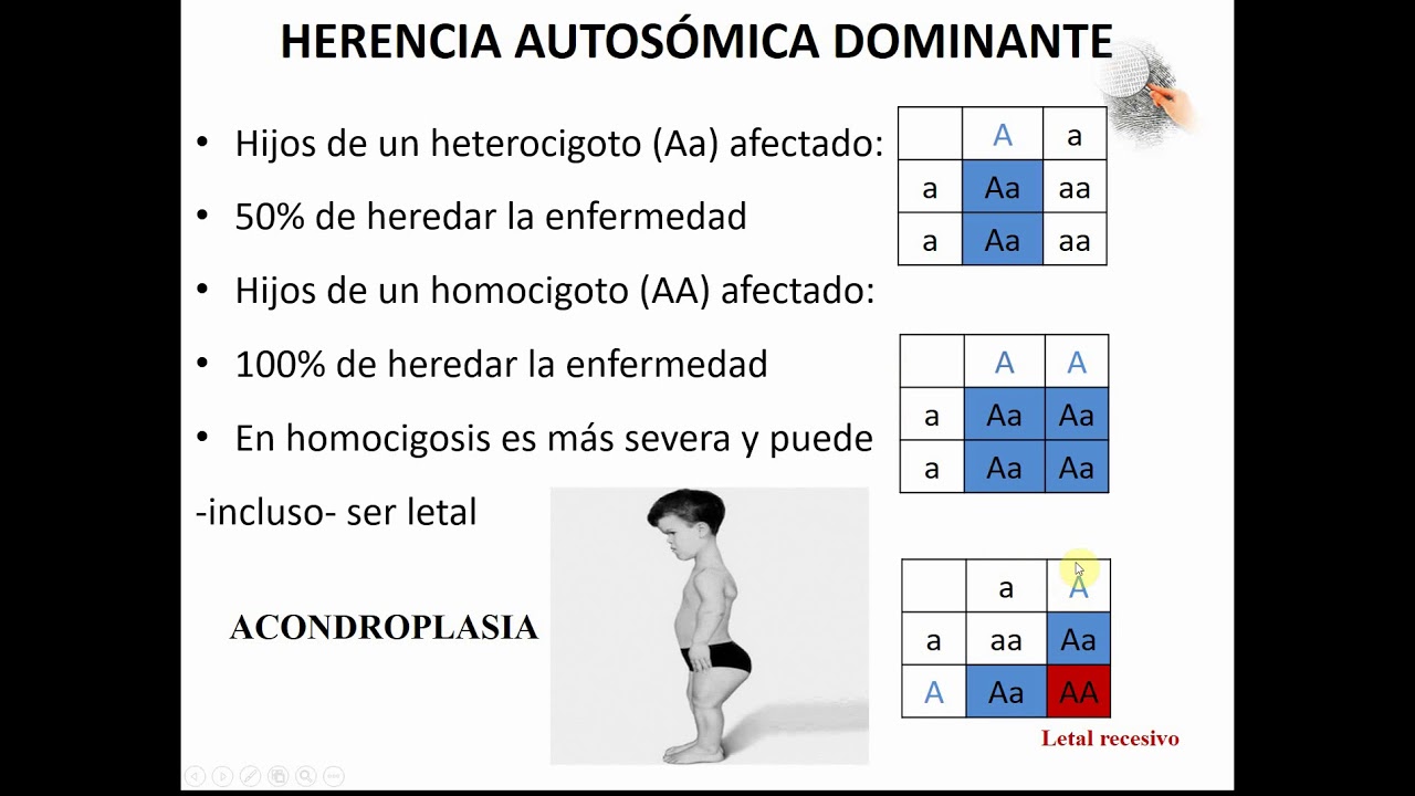 HERENCIA AUTOSÓMICA DOMINANTE Y RECESIVA