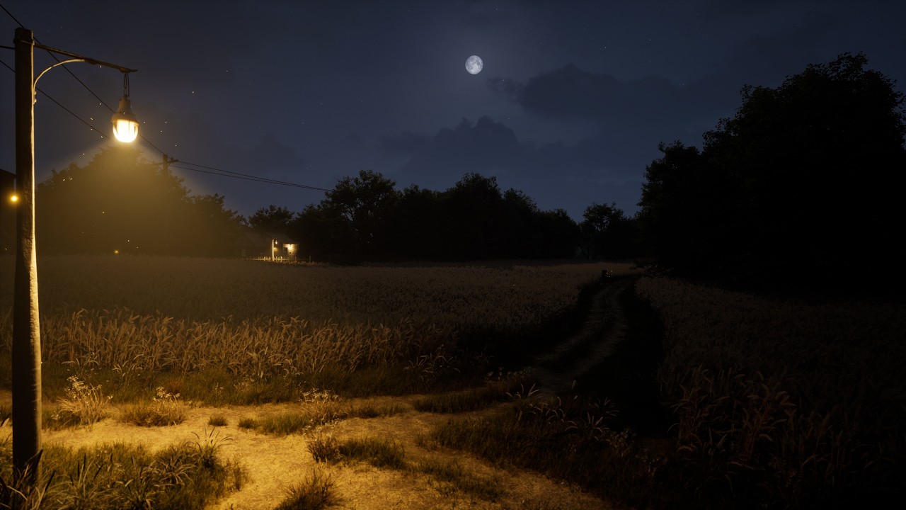 Soft Wind Through Autumn Wheat Fields &bull; Crickets & Night Ambience for Sleep