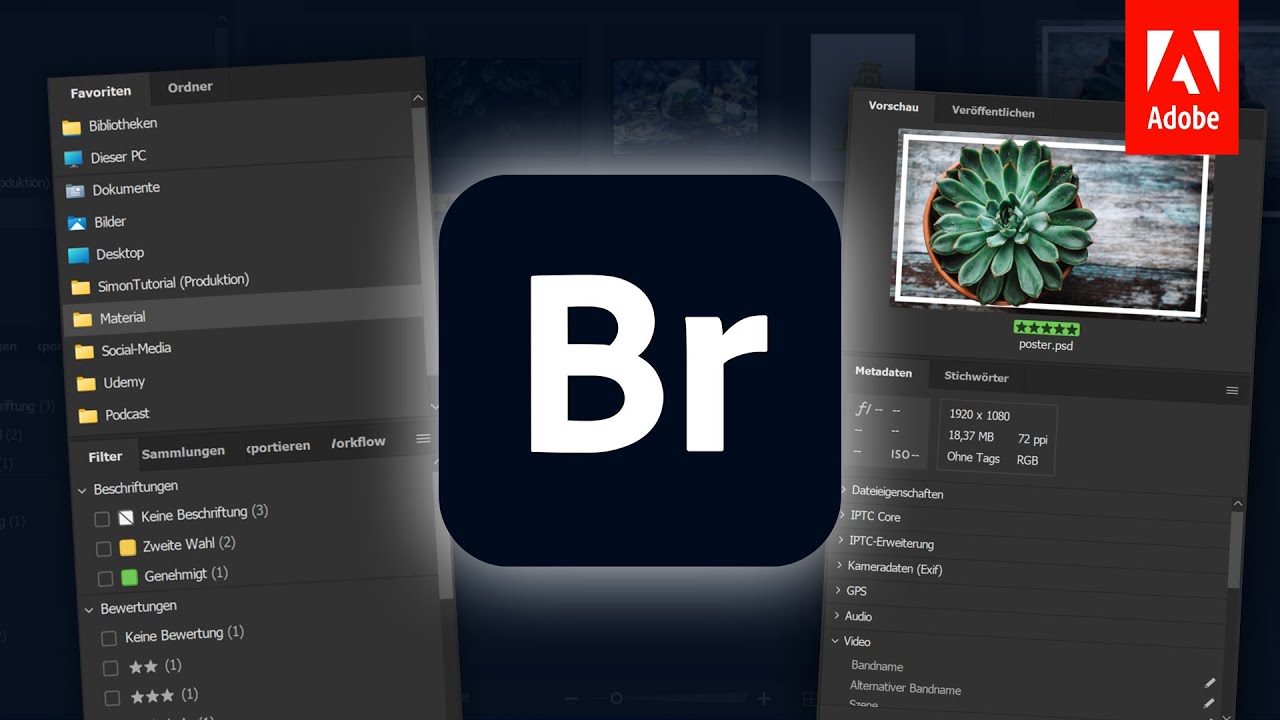 Adobe Bridge 2022 (Базовый курс для начинающих) Простое управление файлами