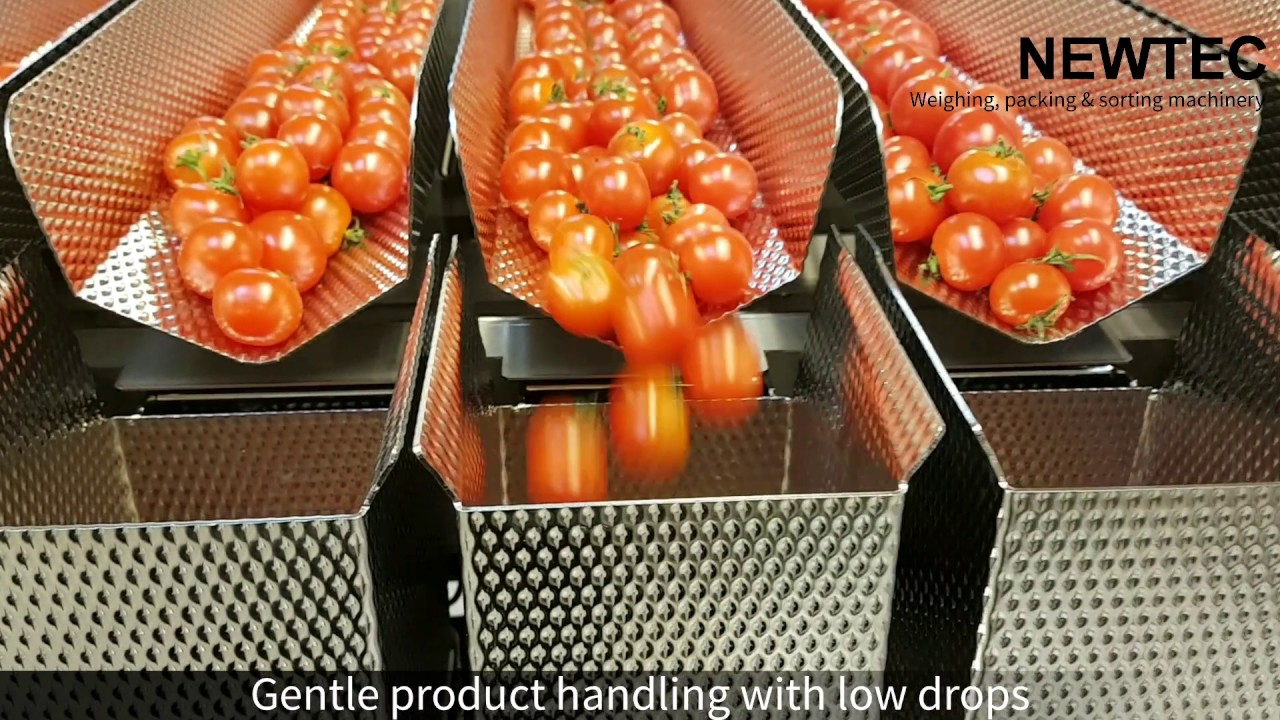 Weighing and packing of small cherry tomatoes