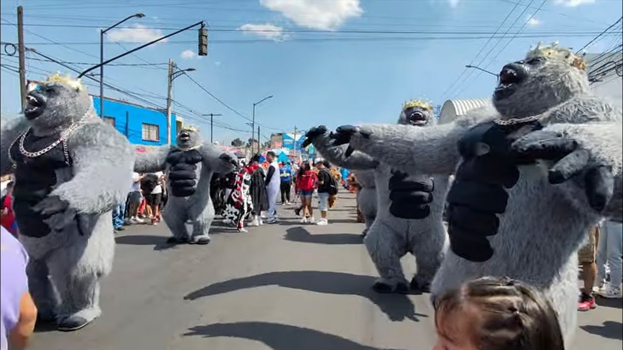 iniciando el carnaval tlaltenco comparsa  barrio fuerte