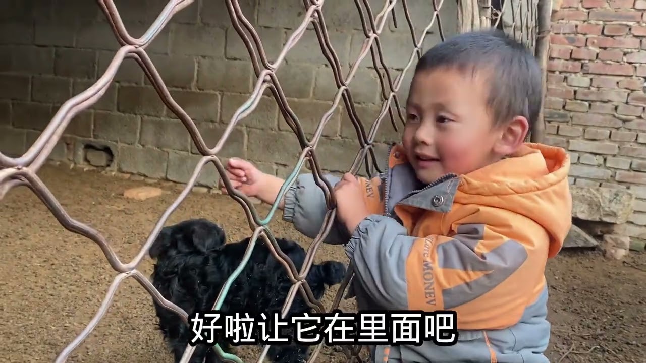 今天是个好日子，小红家2天收入7000块钱，爸妈高兴熬红糖水犒劳 #2天收入7000 #我的农村真实生活 #三农 #养殖人加油 #勤快的农村人