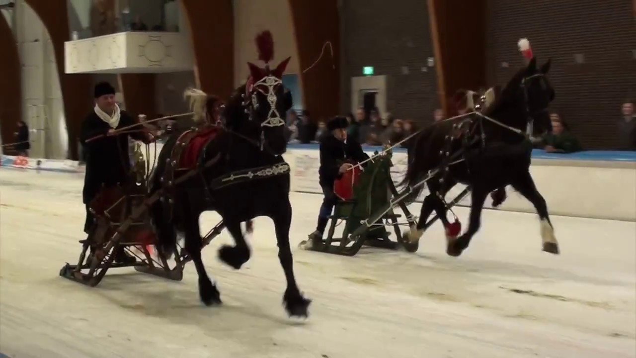 Arreslee wedstrijd in de elfstedenhal