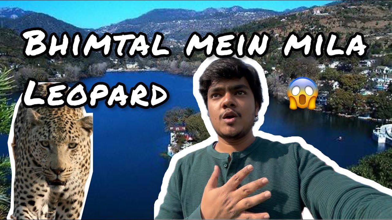 Leopard in Bhimtal 😮 | Bhimtal Vlog | Aquarium Cafe | Nainital Vlog Part 3 #nainital #bhimtal