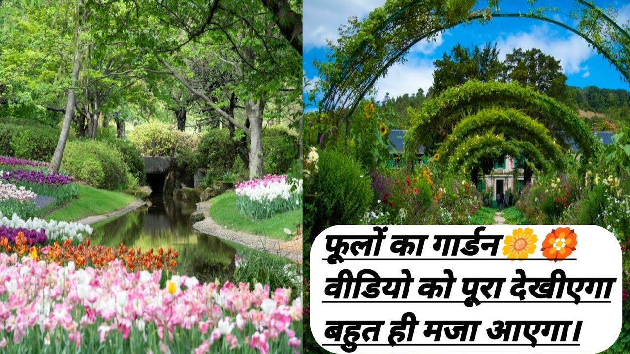 बहुत ही बड़ा फूल का बगीचा। flower garden#flowers #vlogvideo #gardenflowers 