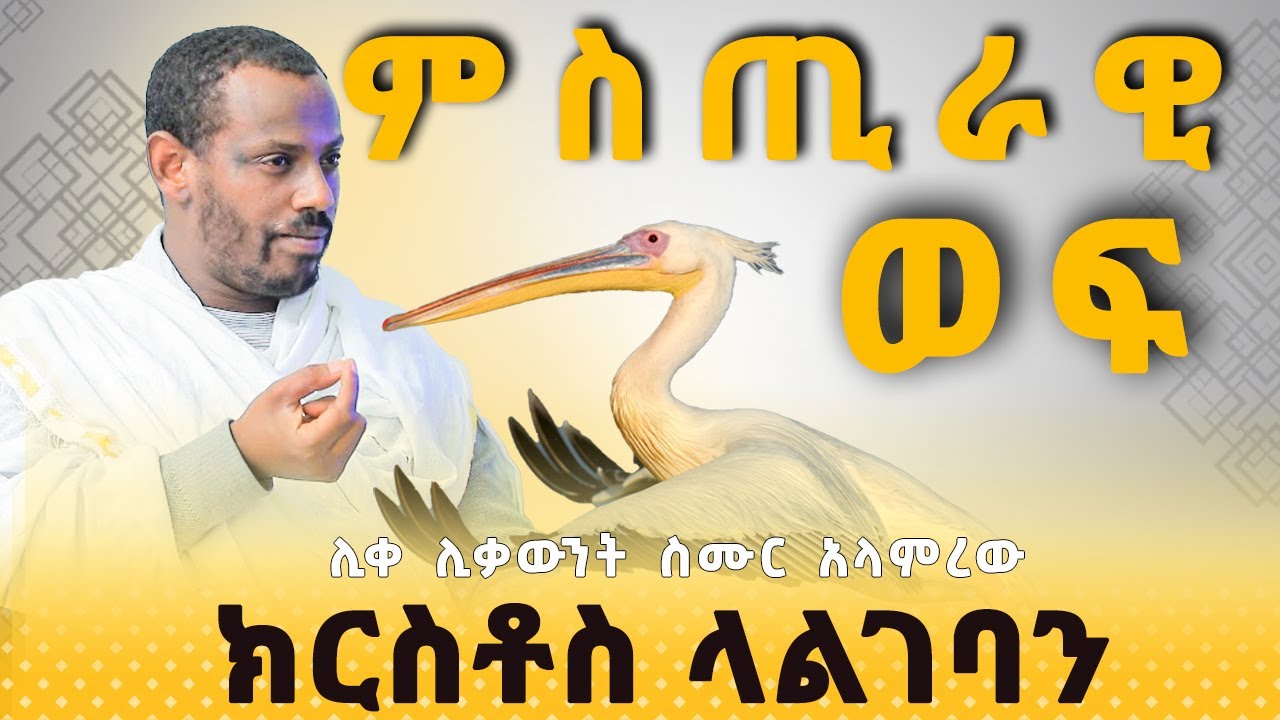 🔴 ድንቅ ስብከት | ብዙዎች የማናውቃት ወፍ | ይሄ ደስታዬ ተፈጸመ | ሊቀ ሊቃውንት ስሙር አላምረው@seatatmedia7779​