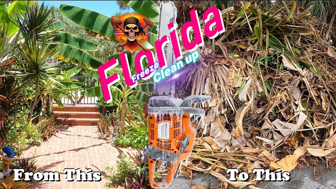 EPIC Florida Organic Garden Food Forest FREEZE DAMAGE Clean up Tour | Zone 10a