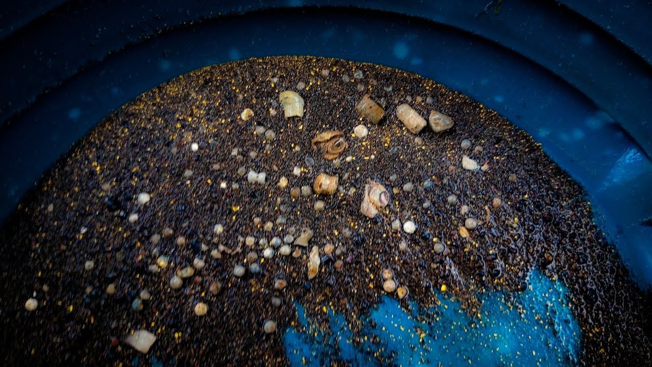 Why Black Sand is Your Friend Gold Mining!