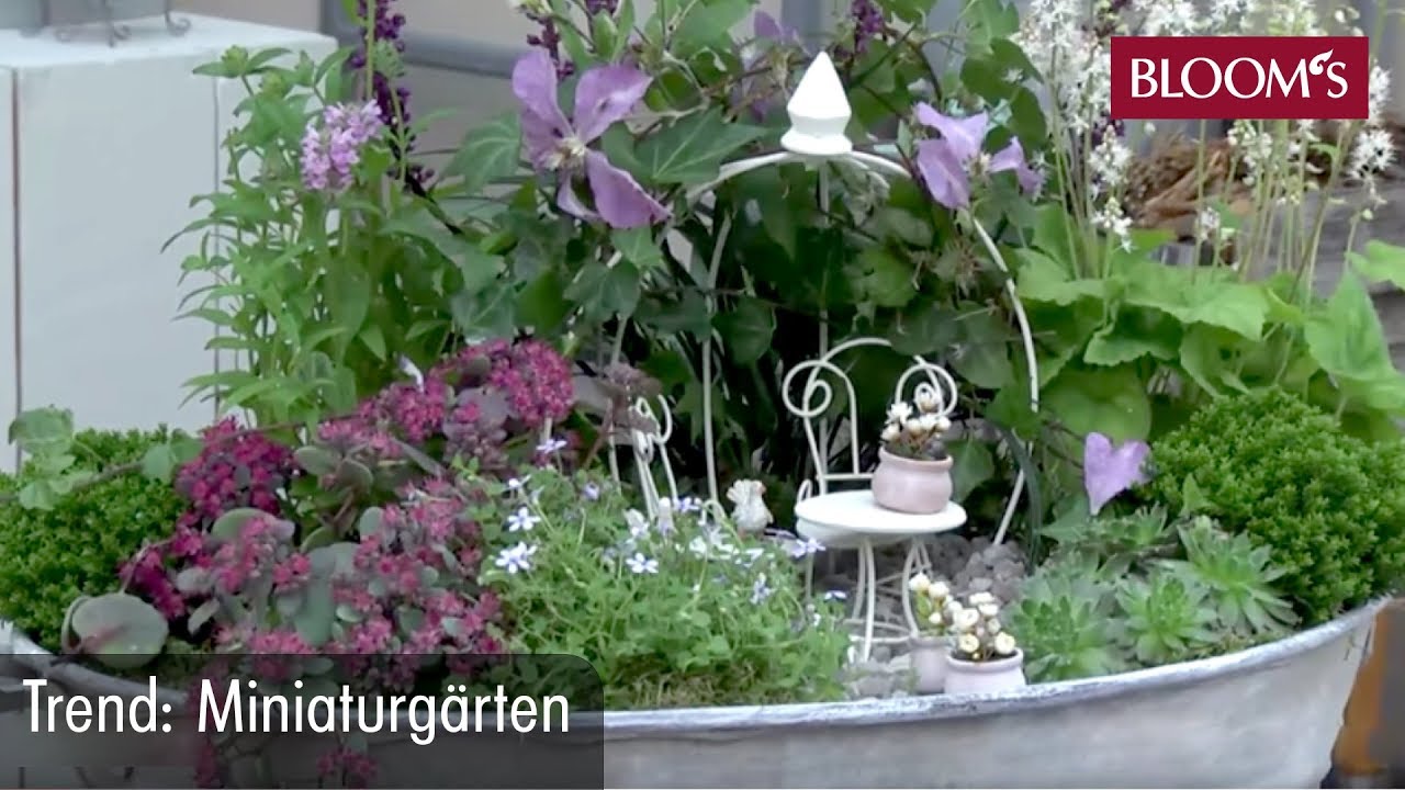 Miniaturgärten | DIY Sommerdeko | summer decoration | BLOOM’s Floristik