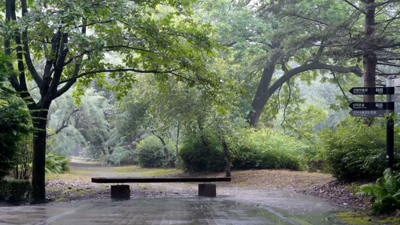 Insomnia, Rainy Park Ambience | Relaxing ASMR Rain Sounds for Sleep, Study & Relaxation