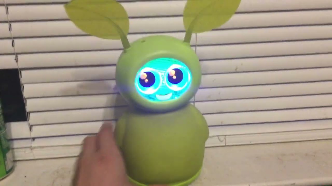New Robot: Fijit Friend: Meet: Sage!