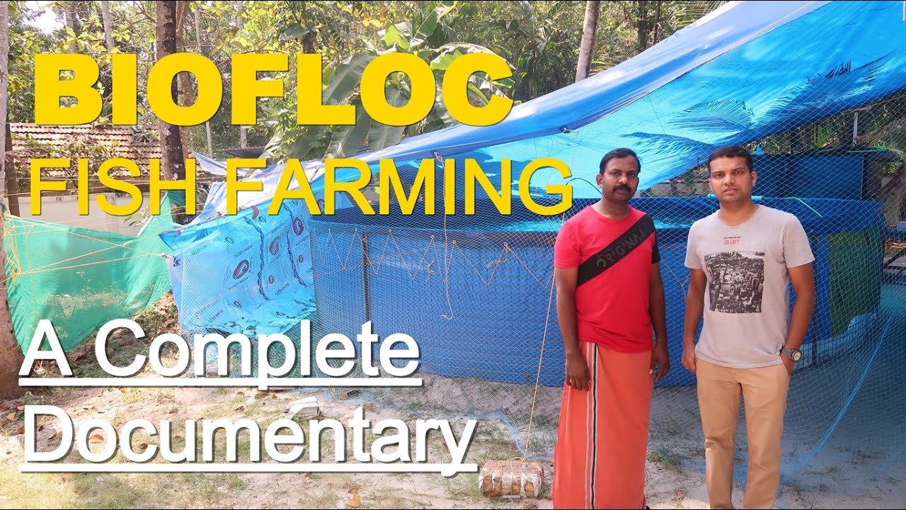 BIOFLOC Fish Farming - A Detailed Documentary