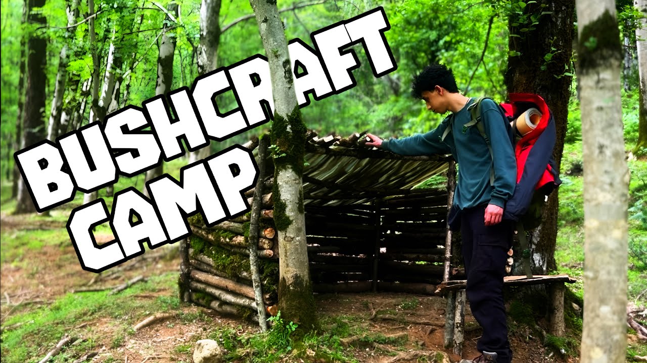 SOLO BUSHCRAFT  in the Forest | Shelter Building with No Tools 