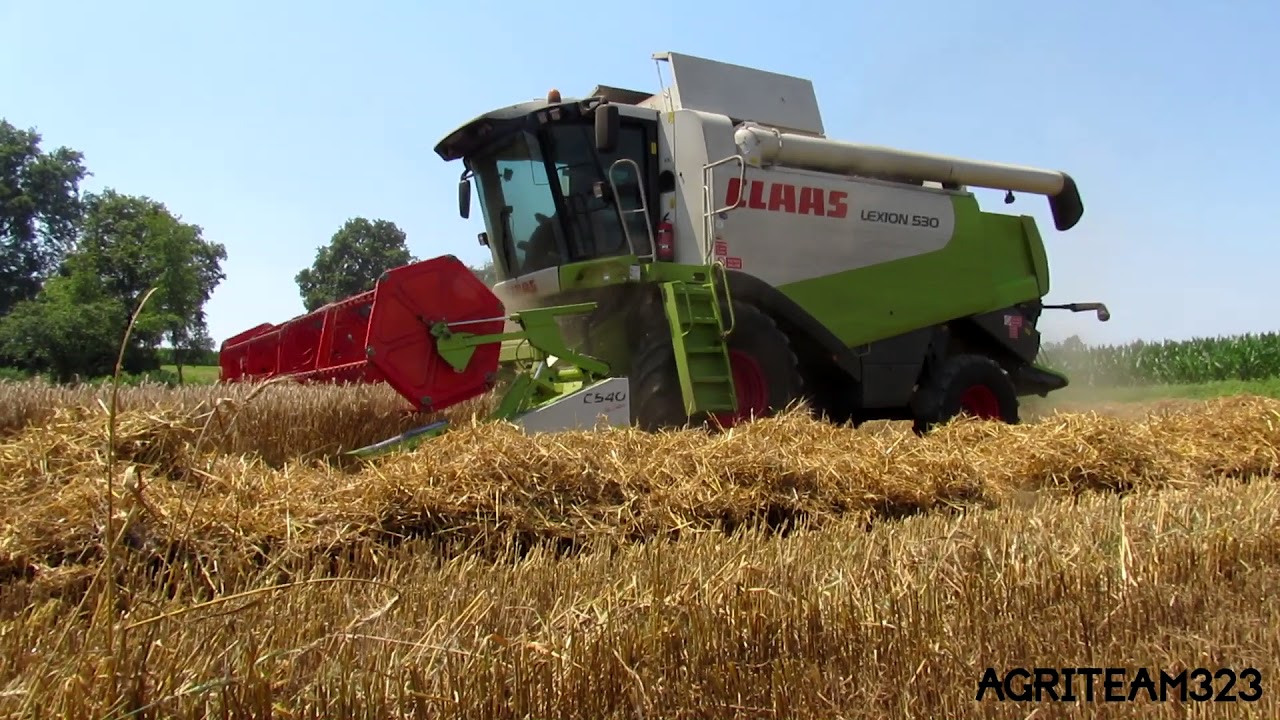 Claas Lexion 530 | Trebbiatura frumento 2017 | Az. Agr. Borghi