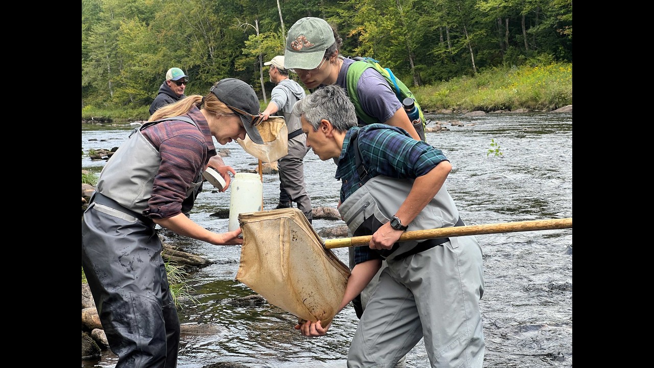 DRWTU:Macro Invertebrate Pilot Study September 2025 results