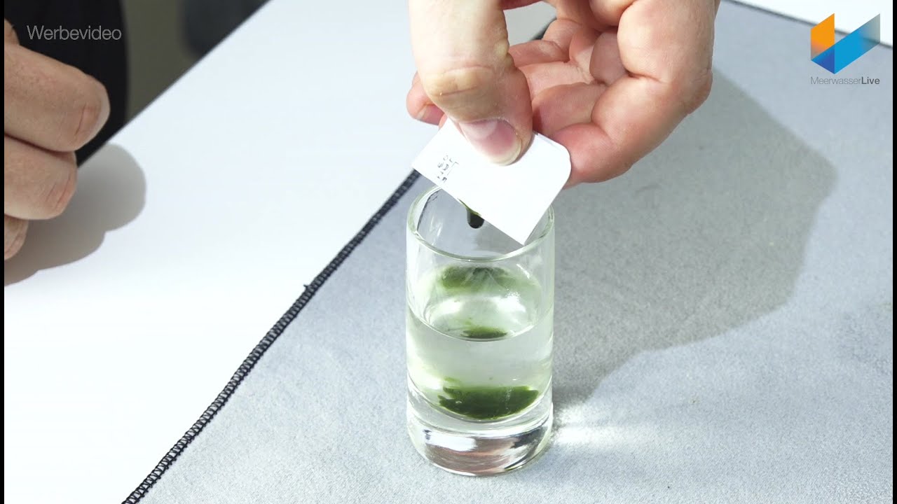 Easy Reefs Teil 1: Phytoplankton mit dem Easybooster | REVIEW | Meerwasser Live TV