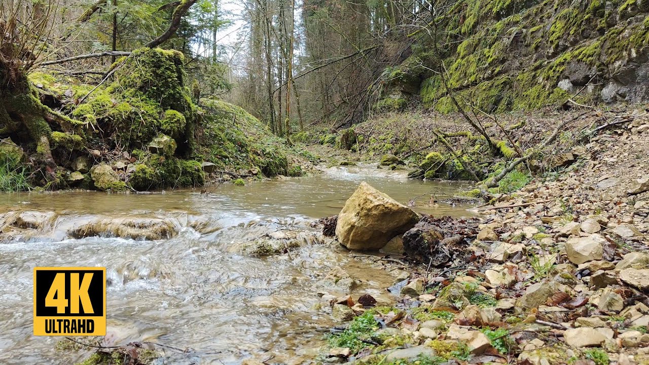 Fliessender ruhiger Waldbach - 1 Stunde - Naturger&auml;usche - 4k
