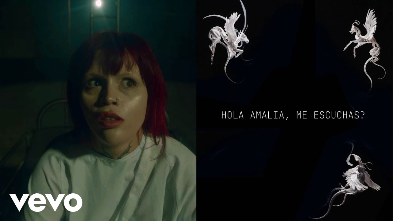 BRUSES - QUERIDA AMALIA: (Letra)