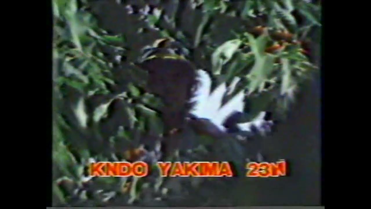 KNDO 23 Yakima sign off, 3/15/1981
