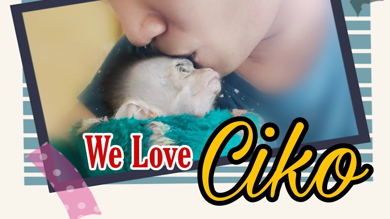 Baby Ciko Monpai (Welcome Home)