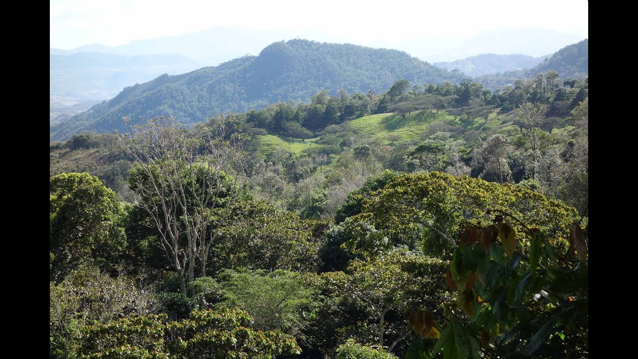 NICARAGUA COFFEE source trip DOCUMENTARY