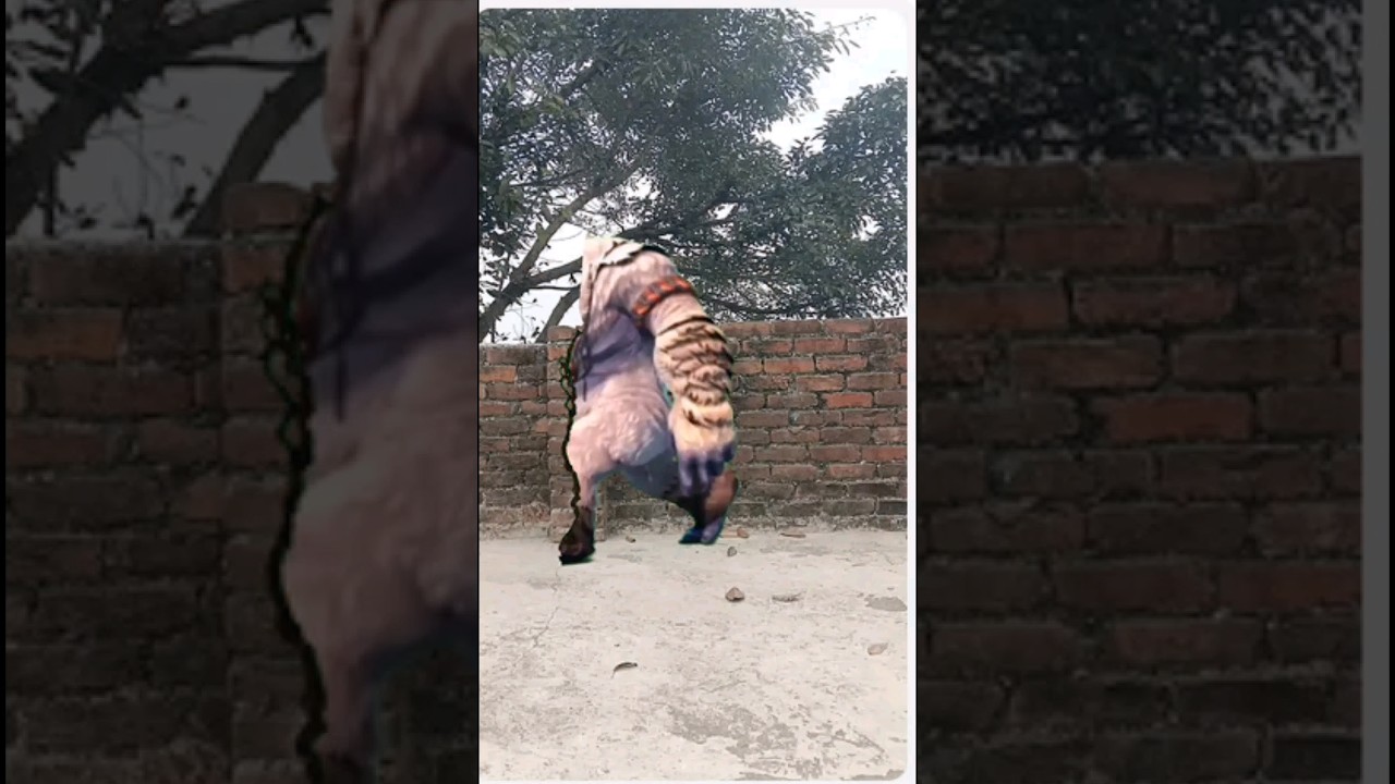 A story of hope and kindness | Viral Video | short story #foryou