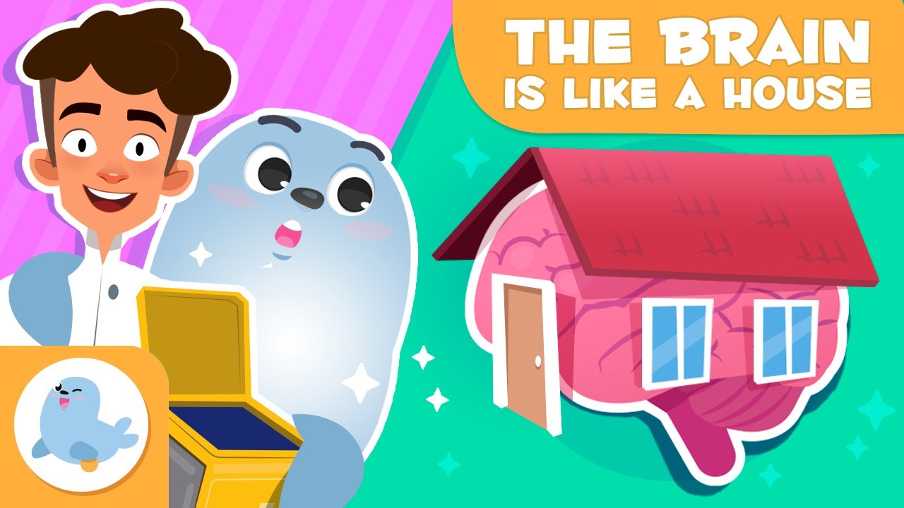 The Brain as a House 🏠 🧠 SELF-REGULATION for Kids
