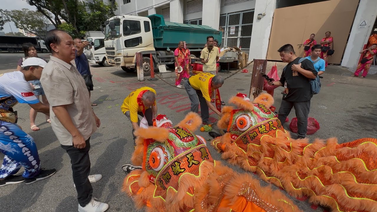 新加坡天興體育會 Tian Heng Lion Dance Eye Dotting Ceremonies at Geylang East Ave 3 February 2026