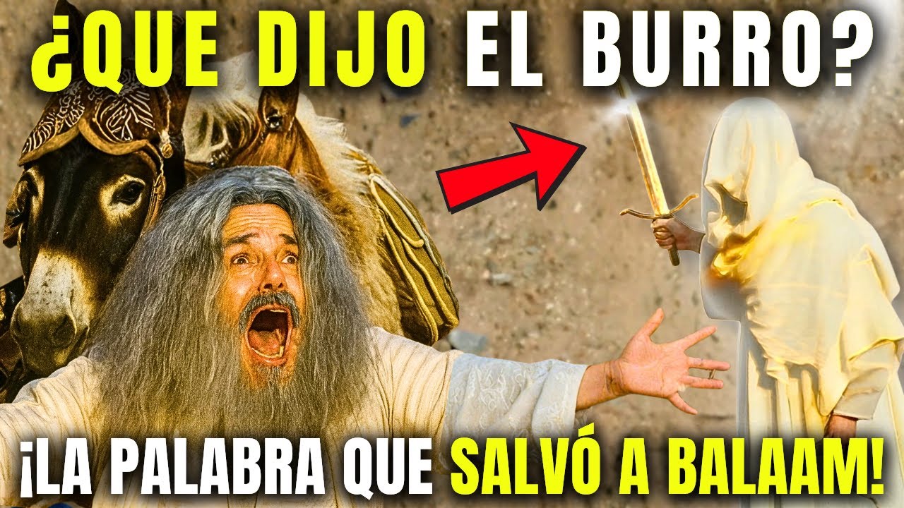 Balaam: el burro que vio a un ángel y salvó a su dueño de la muerte
