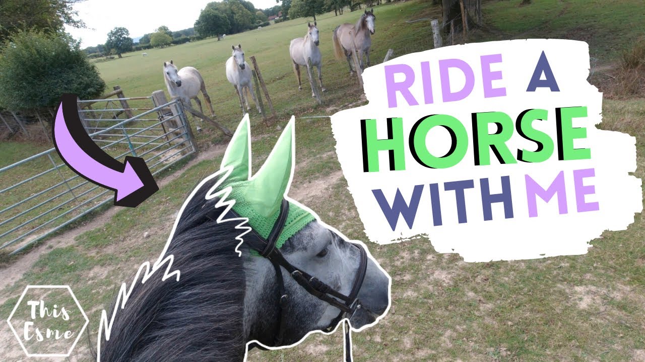 GoPro Groom, Tackup и Ride With Me — Trail Ride with Joey AD | This Esme