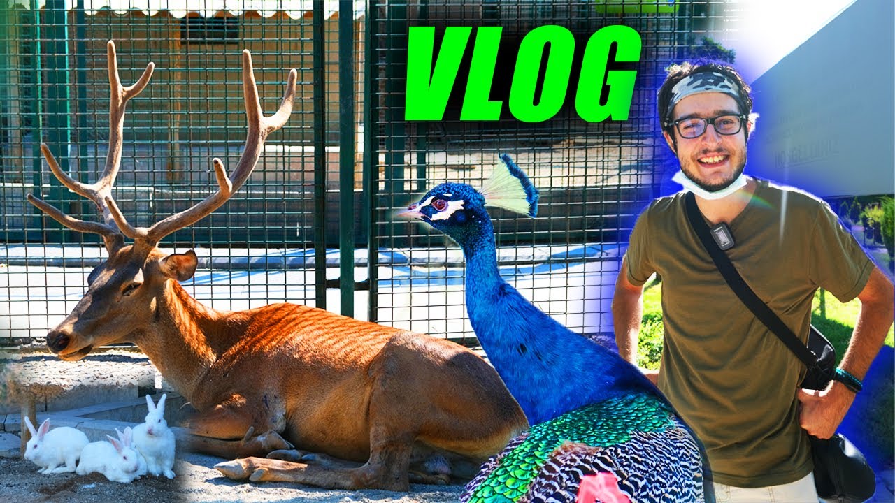 HAYATIMDA İLK DEFA SİNCAN HAYVANAT BAHÇESİNE GİTTİM ! Ankara Hayvanat Bahçesi Vlog