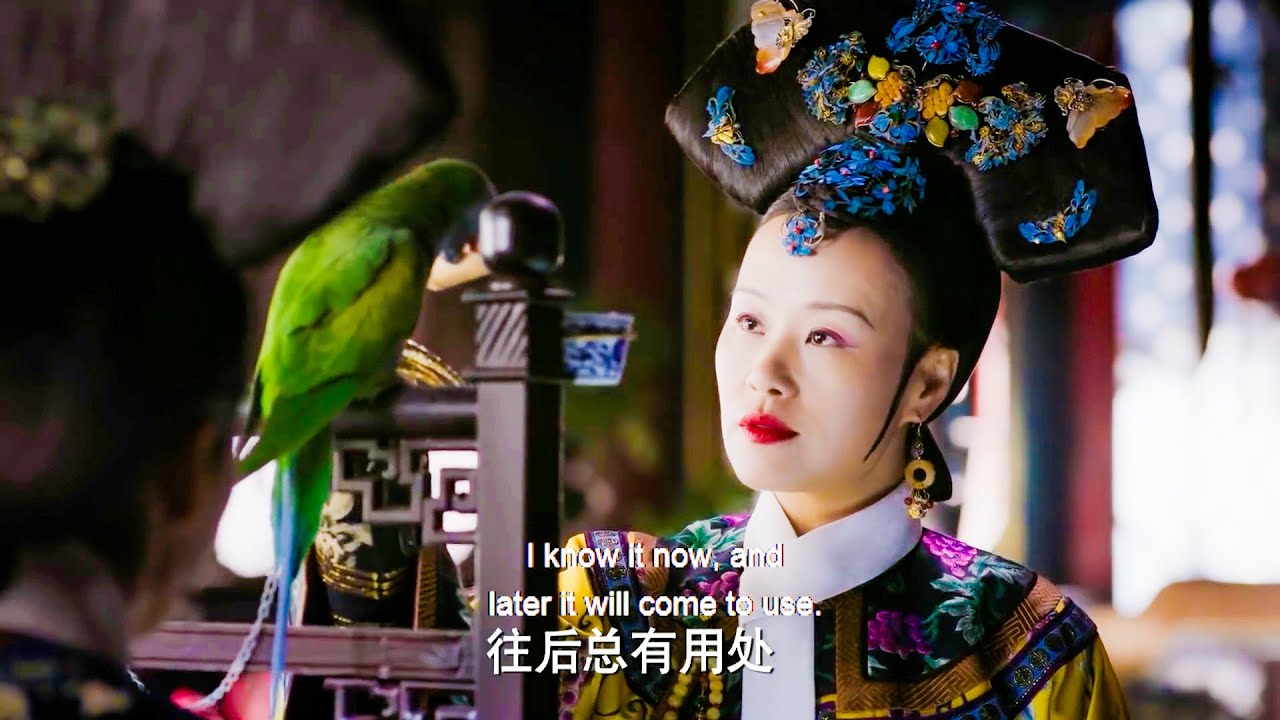 甄嬛的鸚鵡從不出聲，福伽一句話揭開驚天秘聞，竟牽出如懿復仇的導火線！