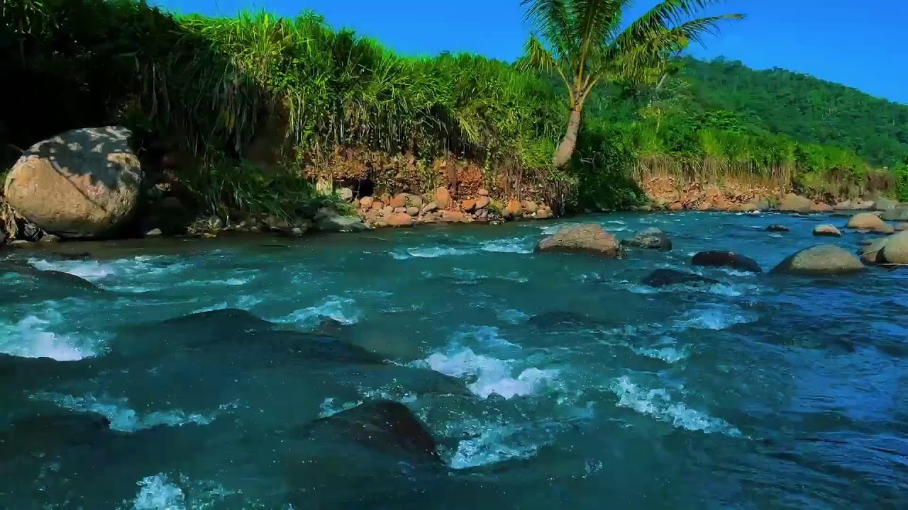 River Sounds for Deep Sleep – Tropical River White Noise to Knock You Out Fast