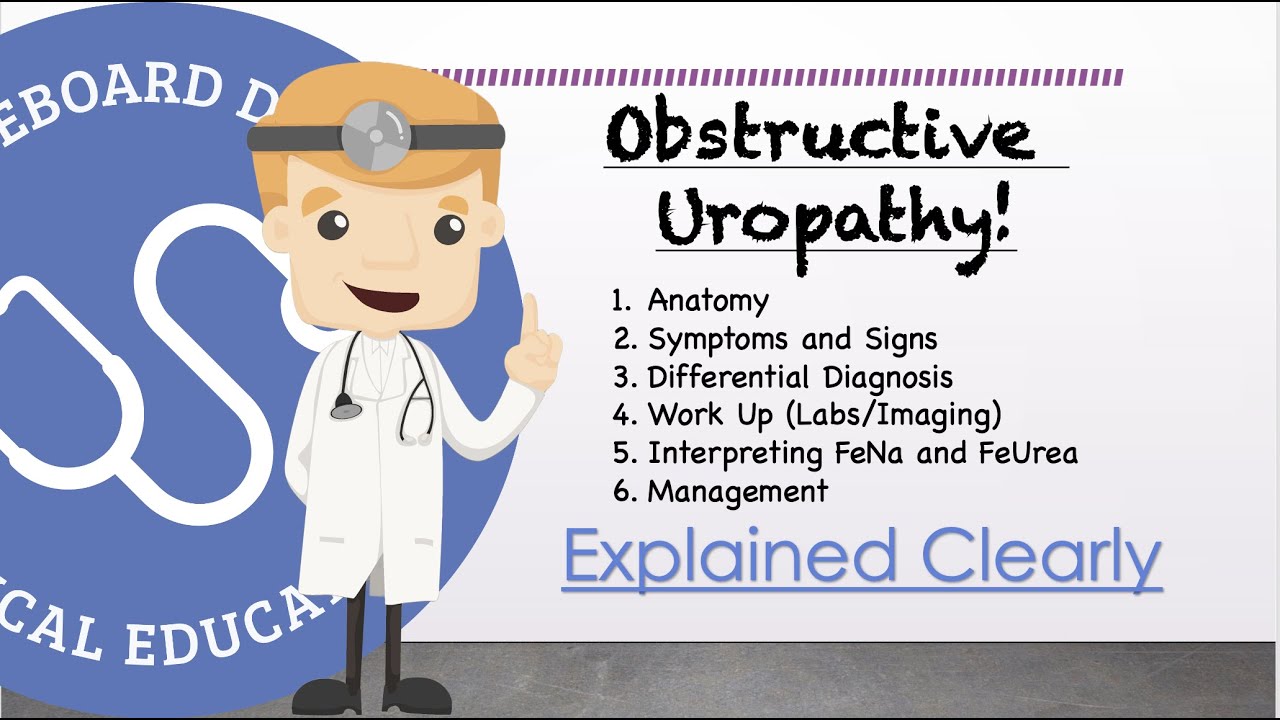 Obstructive Uropathy Basics - Anatomy, Symptoms, Management, Prognosis | Clinical Medicine
