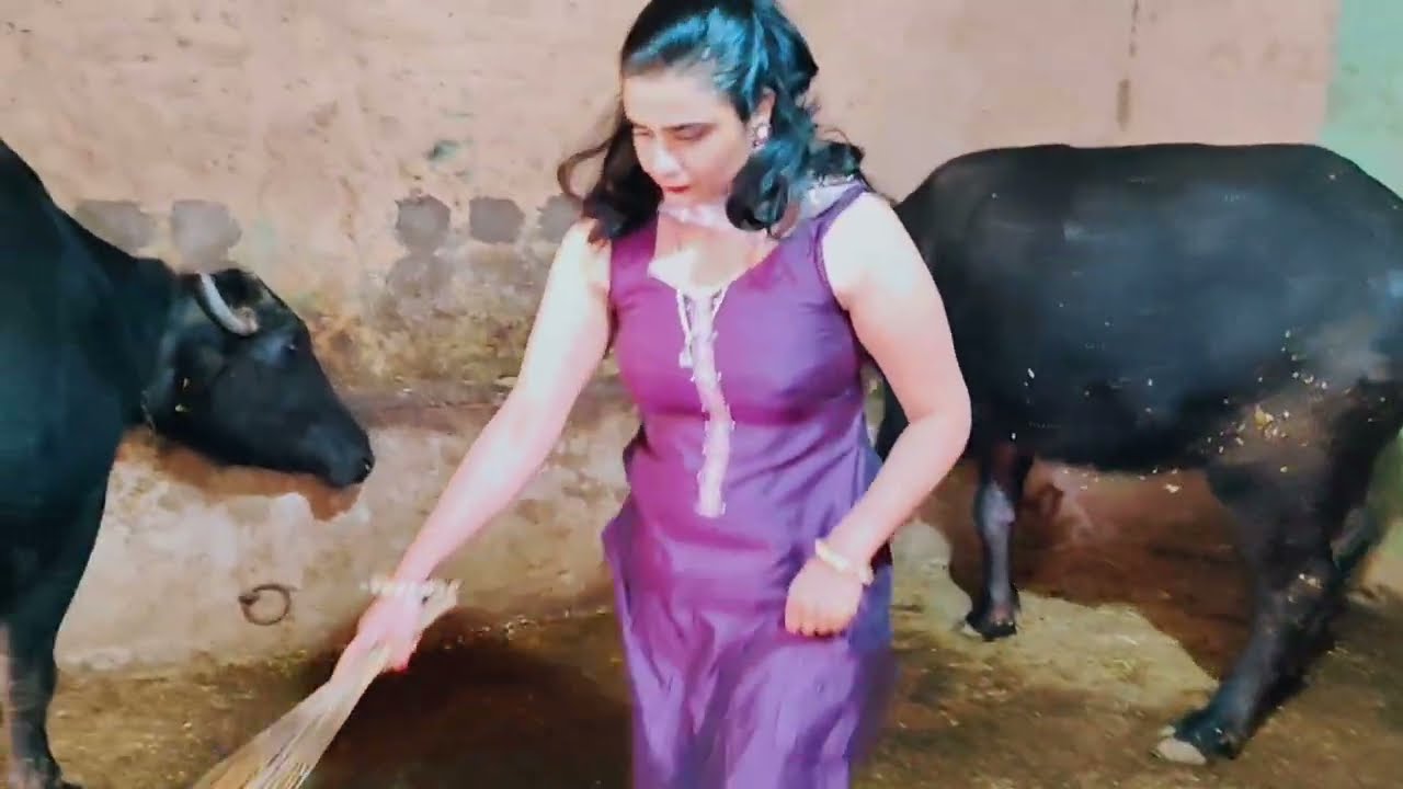 Daily routine village woman vlog #buffalomilkingbyhand#cowmilking #goatmilking#dailyroutinevlog#desi