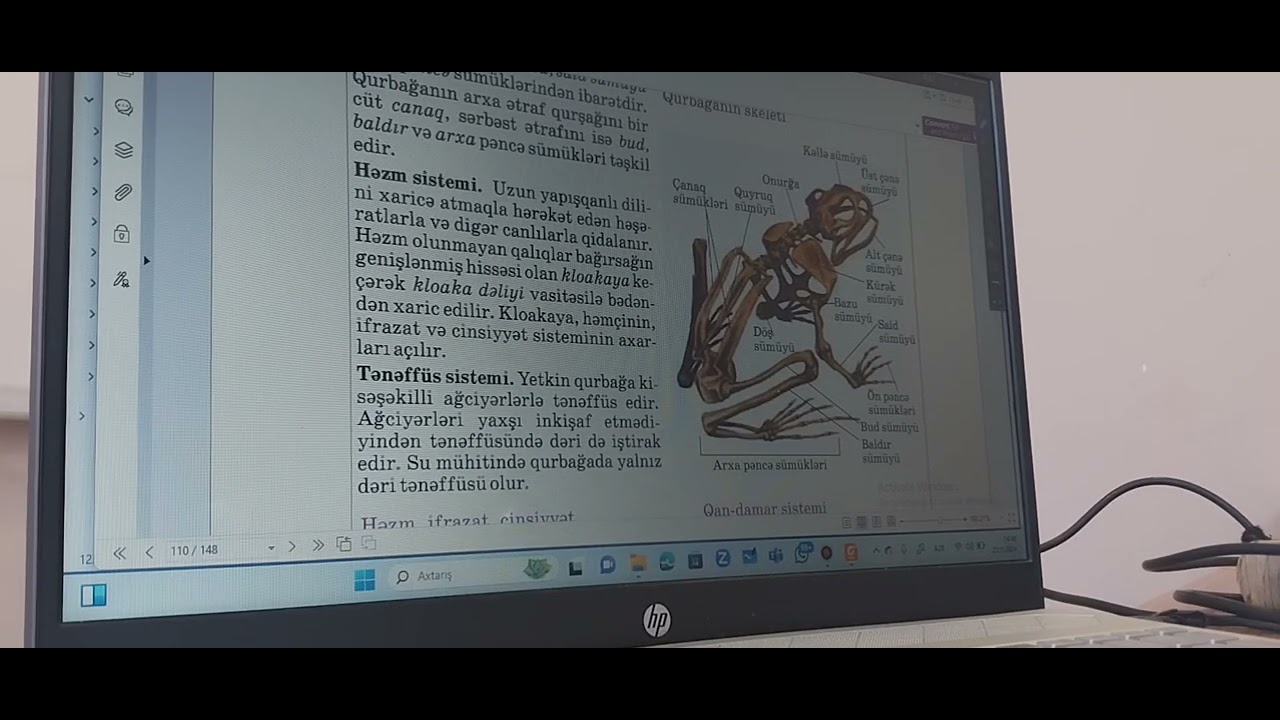 Suda-Quruda yaşayanlar sinfi dərs izahı