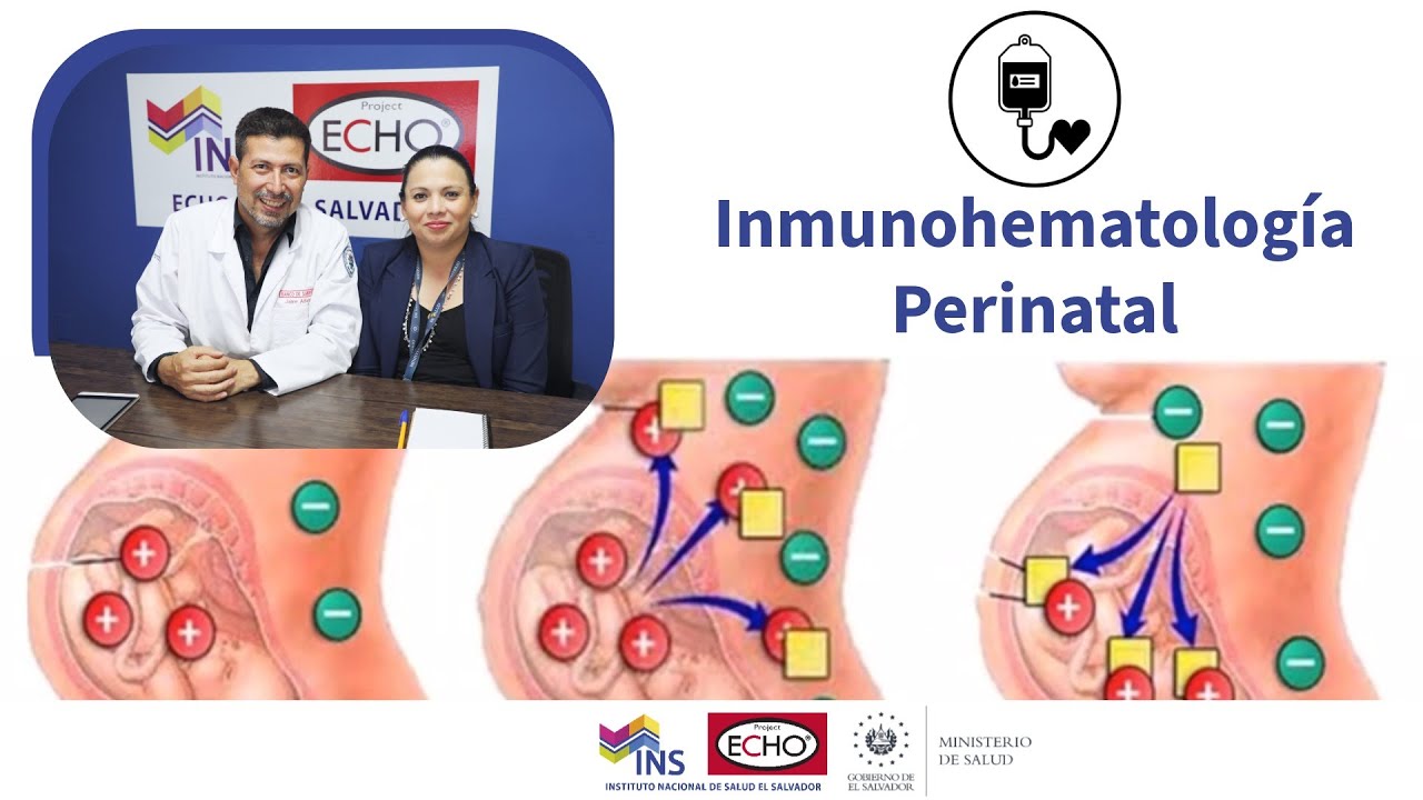 Inmunohematología Perinatal