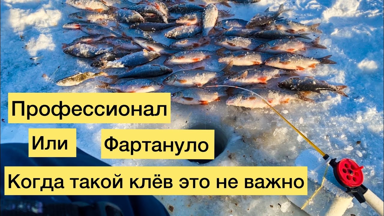 БОЛЬШАЯ РЫБАЛКА НА МАЛЕНЬКИЕ УДОЧКИ РЫБАЛКА РЕФТИНСКОМ  ПОПАЛ НА РАЗДАЧУ КРУПНЯКА