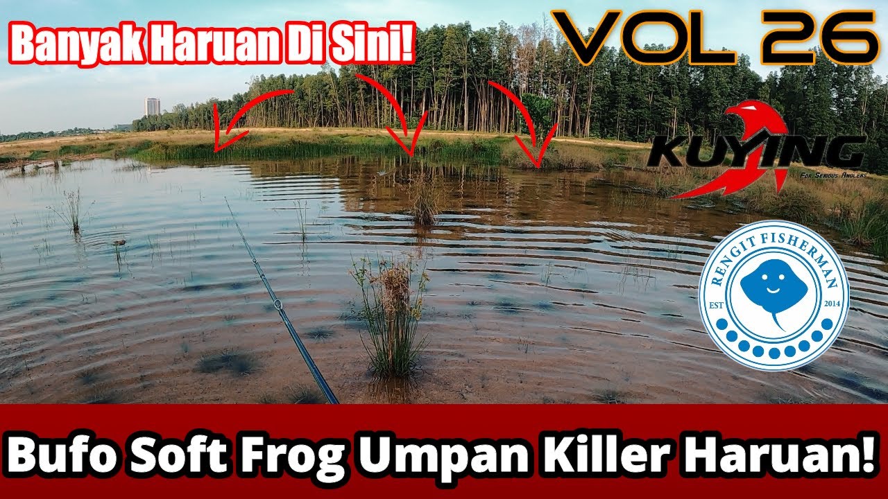 Bufo soft frog killer haruan &Iota; Banyak haruan disini! &Iota; Vol 26