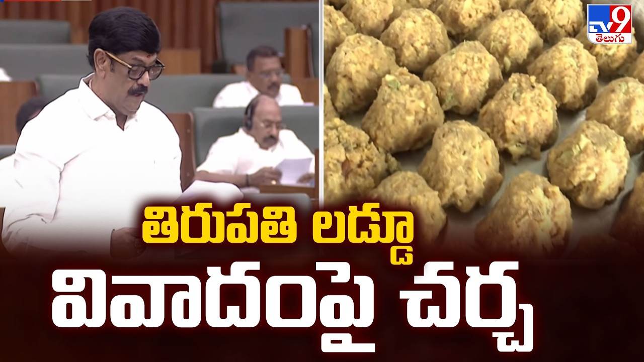 AP Assembly on Tirumala Laddu Row : తిరుపతి లడ్డూ వివాదంపై చర్చ - TV9