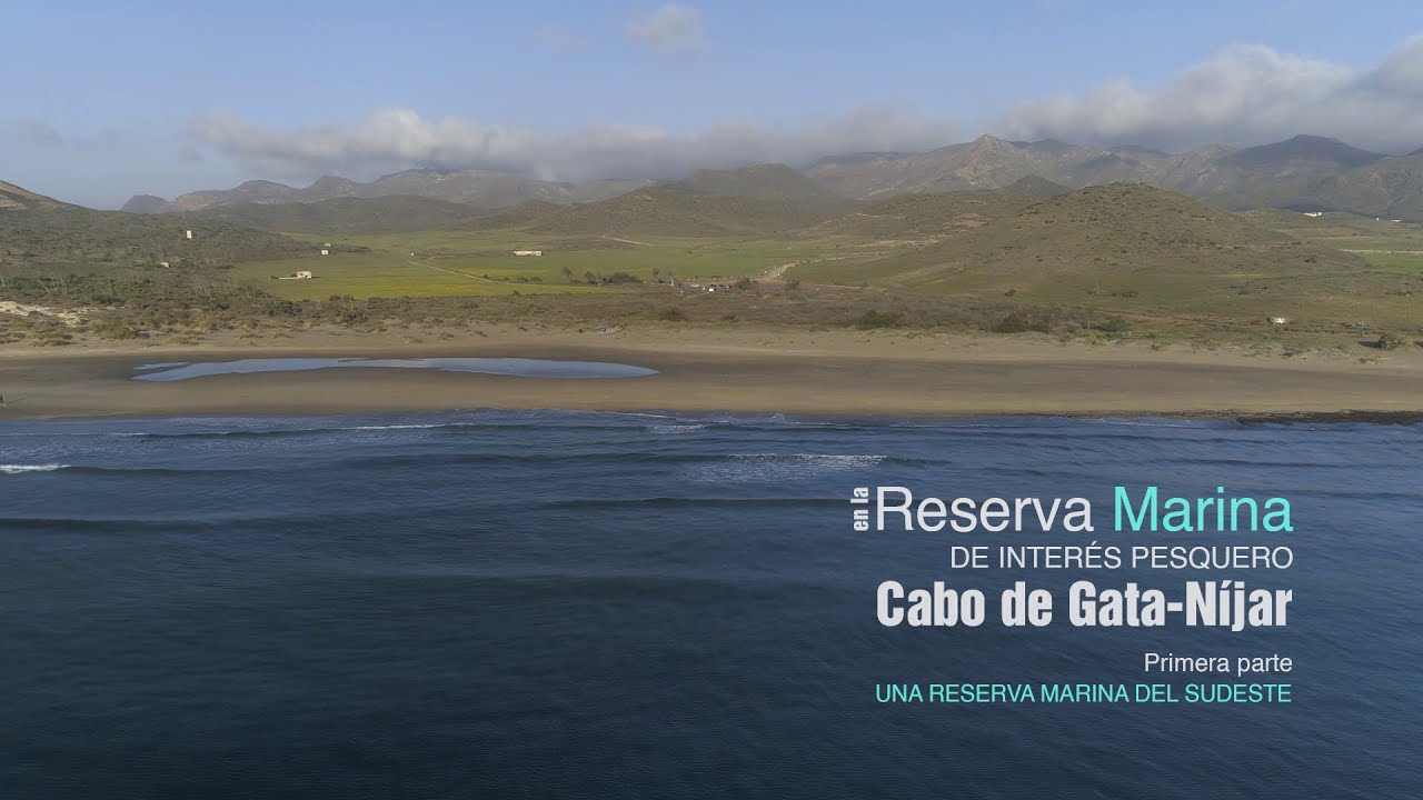 LA RESERVA MARINA DE INTERÉS PESQUERO CABO DE GATA-NÍJAR I. UNA RESERVA MARINA DEL SUDESTE.