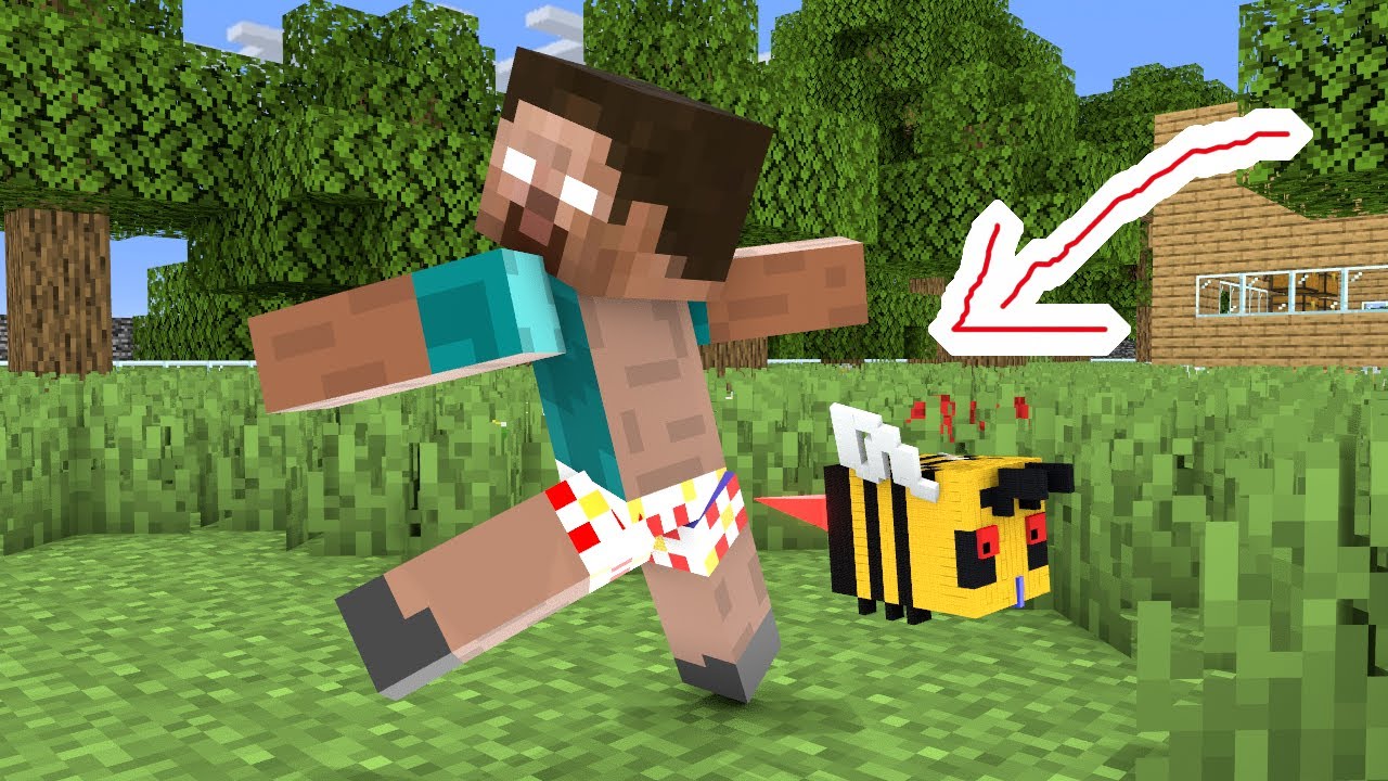 What do you want to draw ? - Minecraft Animation