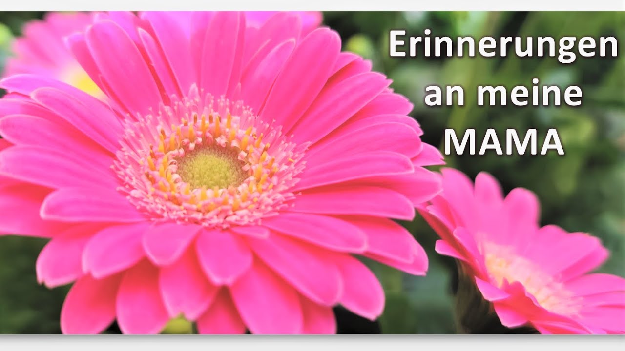 Erinnerungen an meine MAMA/Elena Krieger/Foto/
