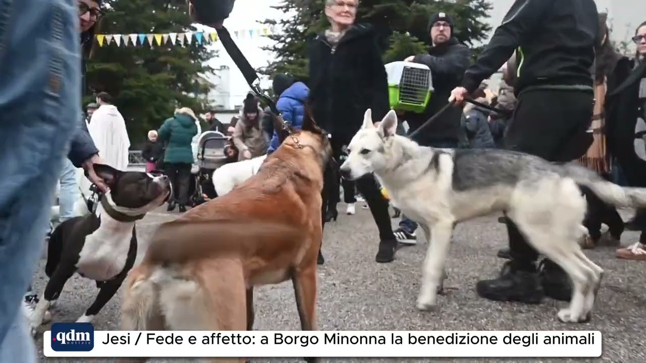 Jesi Borgo Minonna l benedizione degli animali