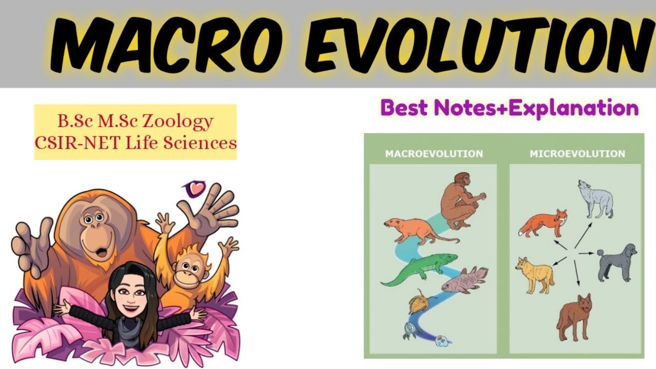 Macro Evolution-Best Notes & Explanation | M.Sc B.Sc Zoology |CSIR NET life sciences|micro evolution