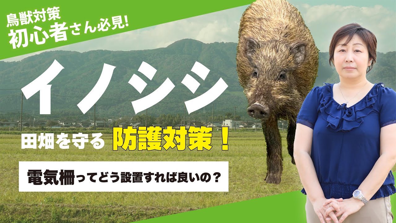 【イノシシ 電気柵】イノシシ対策での柵の選び方と、電気柵の正しい設置方法