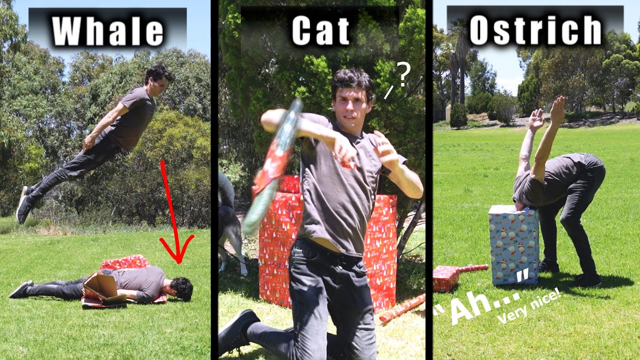 How Animals Open Christmas Presents (Part 1-2)