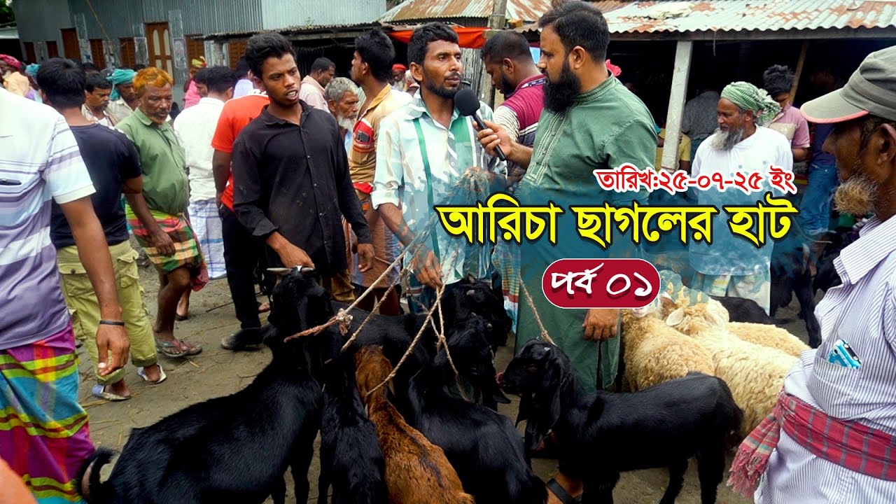 জমজমাট ছাগলের হাট | আরিচা ছাগলের হাট | শিবালয় মানিকগঞ্জ ।#agriculturefarming #viralvideo